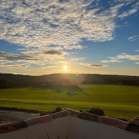 Вилла Mas Des Magnarelles / Uzes / Cevennes Mejannes-les-Ales Экстерьер фото